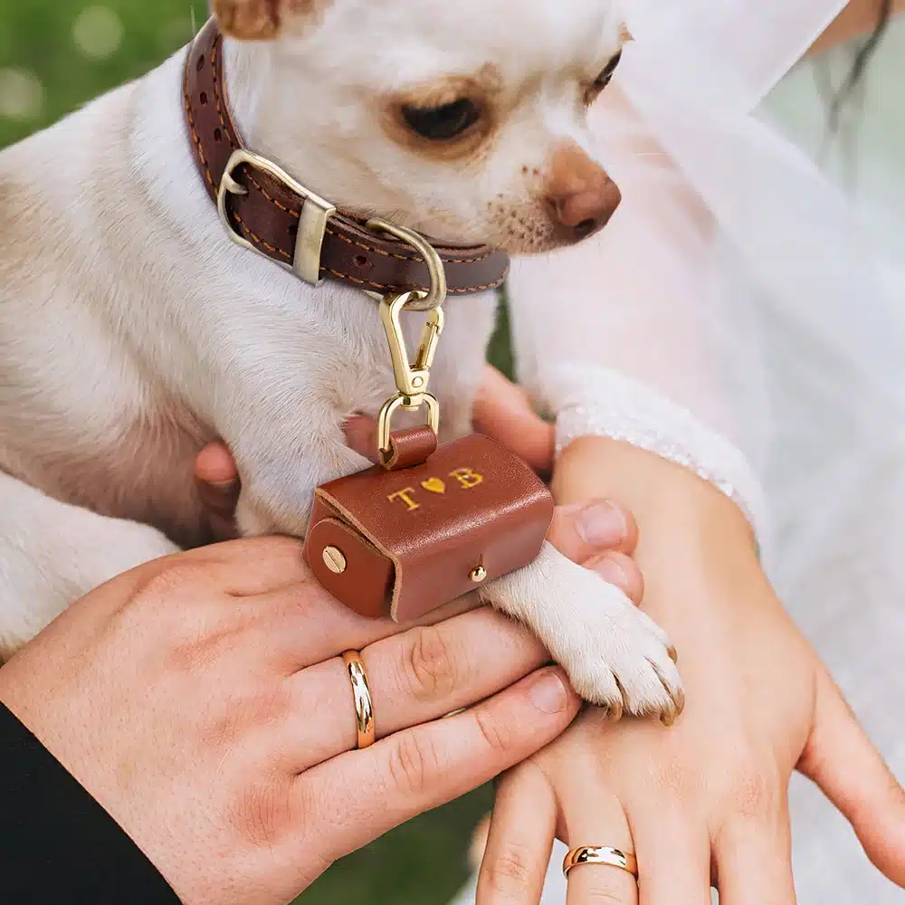Perro con anillos de boda