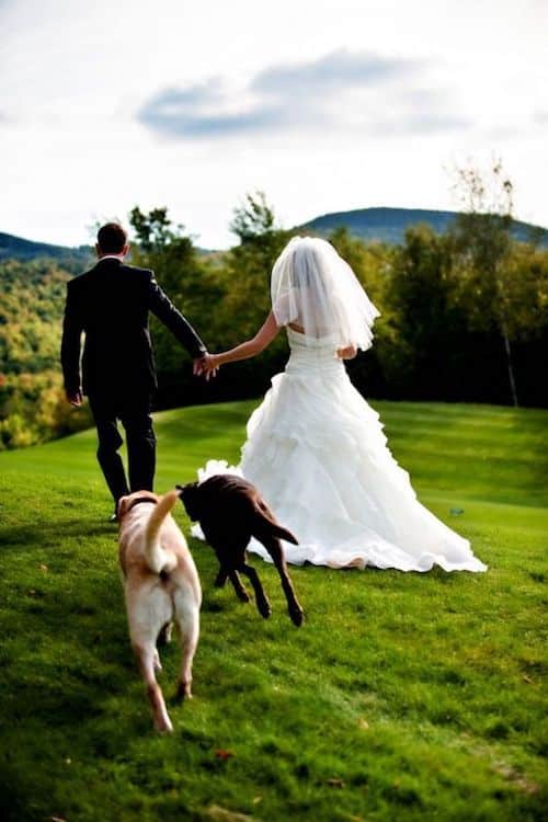 Incluir mascotas en tu boda